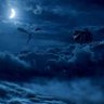 Фото профиля Vermithrax The Sleeping One