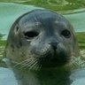 Moni's profile picture