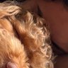 ahappydogmom's profile picture
