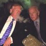 Himothy 的头像