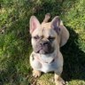 Hercules's profile picture