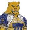Фото профиля Momentos Sublimes de Pumas