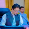 Hamraz Khan's profile picture