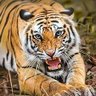 அ அரசேந்திரன்'s profile picture