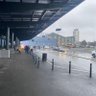 Sss 的头像