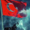 börteçinee 的头像