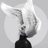 سپید و سیاه's profile picture