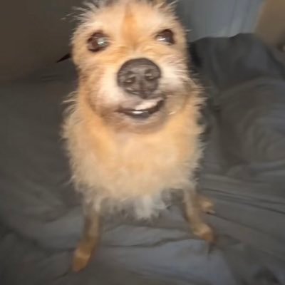 Fraankszz's profile picture