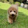 みさ profil fotoğrafı