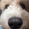 TrevorM profil fotoğrafı