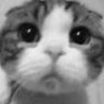 Profilbild von Meowbars