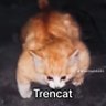 Profilbild von trencat