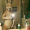 Jay Eph's profile picture