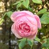 Фото профиля ♀