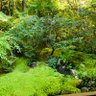 Фото профиля monamona
