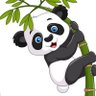 Profilbild von Don