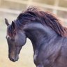 delaware's profile picture