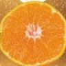 Profilbild von みかん