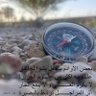 Profilbild von محمد وازع العياني العياني