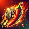 Spicy Crypto 的头像