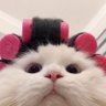 Profilbild von sosiscrispy🎀