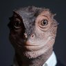 Profilbild von Crioulo