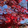 Фото профиля 小胖
