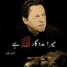 Фото профиля NASEER.GONDAL.