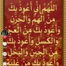وسام العراقي's profile picture