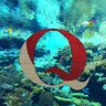 まい香_2号@QAJF profil fotoğrafı