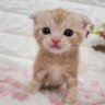 めいめい profil fotoğrafı