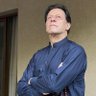 Profilbild von فضہ بتول