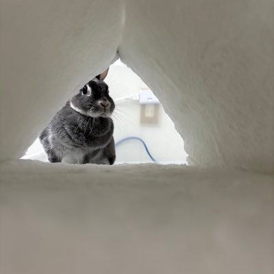 s_r_210's profile picture