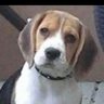 Debra's profile picture