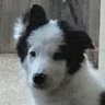 KiRa profil fotoğrafı