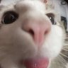 Annie 🌻 profil fotoğrafı