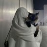 ANJ profil fotoğrafı