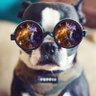 Nebulargos profil fotoğrafı