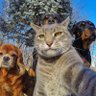 Mostafa profil fotoğrafı