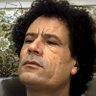 سكار فيس's profile picture