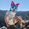 Фото профиля Rocket Pup 🔞 🔜 FWA