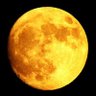 Moon 的头像