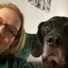 Profilbild von Tine Brunnen 🎵🏃🏼♀️➡️🐾💜
