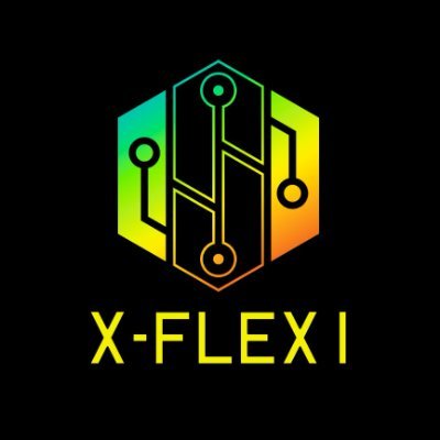 X_Flexi's profile picture