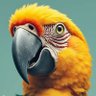 ParrotEaccount 的头像