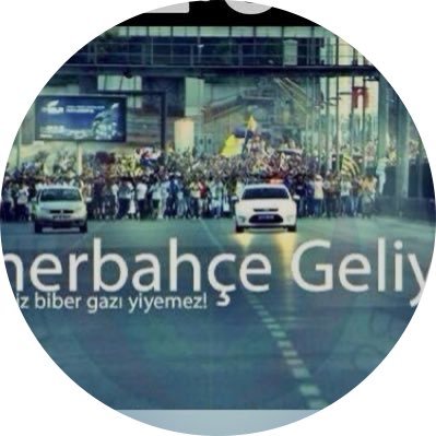 fayedekaf's profile picture