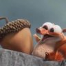 Profilbild von Jonathan Smith