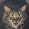 𝓢𝓪𝓶𝓼𝓾𝓷𝓰 ™ profil fotoğrafı