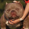 The Fish's profile picture