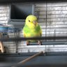 Ggb's profile picture